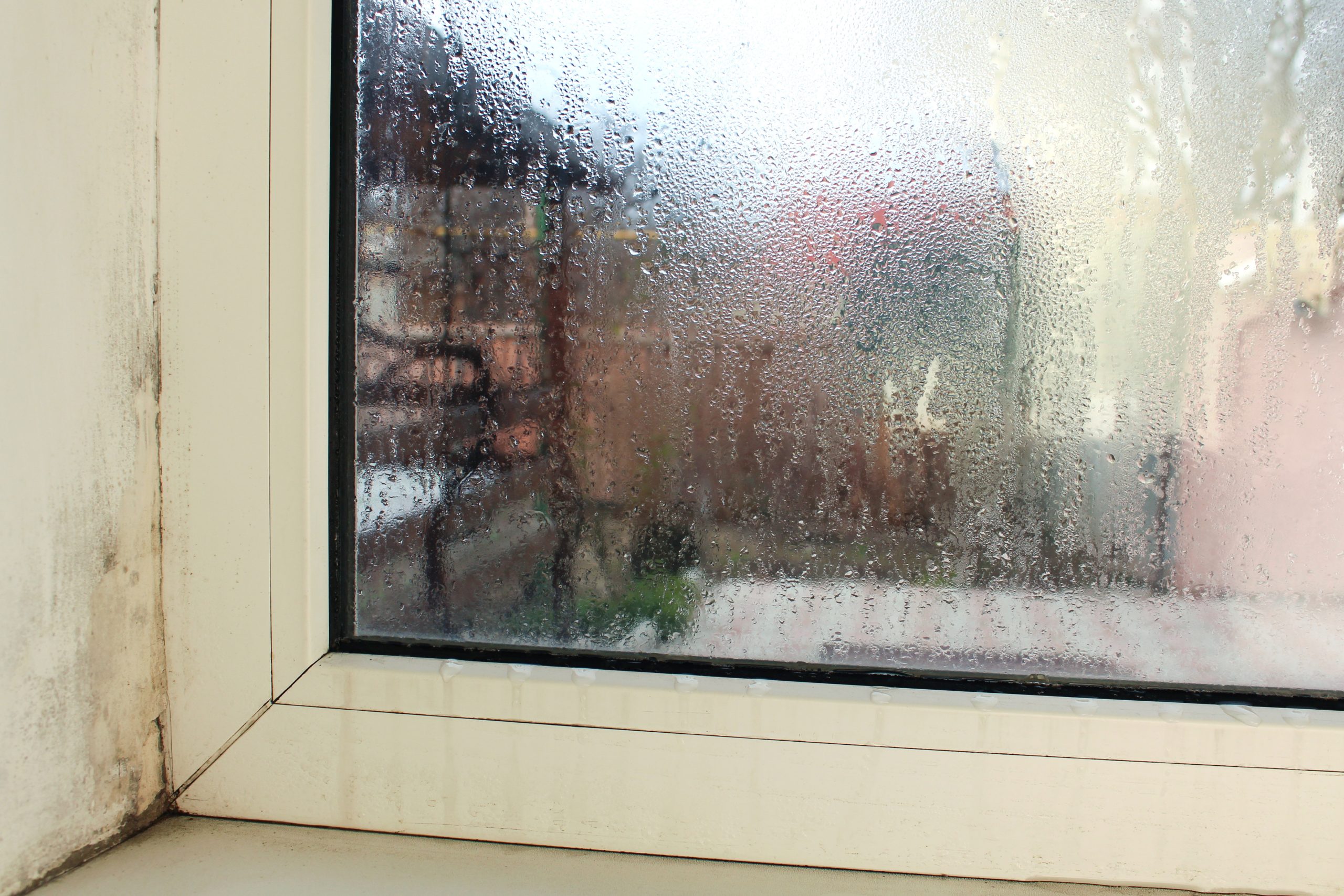 Window with visible condensation and mold, representing housing disrepair issues, with legal support available from Astraea Linskills Solicitors Liverpool.